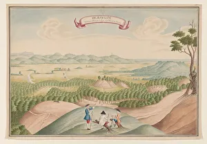 Plantation Prints: View of the Pepper Plantation in the Baygam Area, c.1750. Creator: Anon