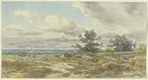 Horizon Prints: View over a plain, sawn-off tree trunks lying in the foreground