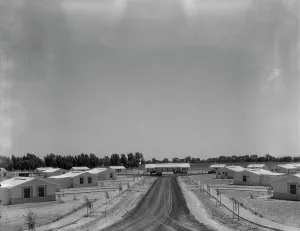 Bungalow Prints: View of Resettlement Administration's part-time farms