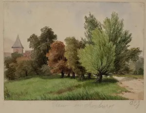 Wayside Prints: View in Roxbury, c1820-1865. Creator: David Claypoole Johnston