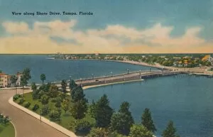 Tampa Gallery: View along Shore Drive, Tampa, Florida. c1940s