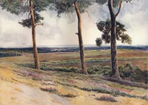 View from Staple Hill, 1911, (1914). Artist: Jamess Ogilvy