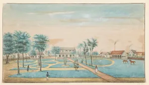 Plantation Prints: View of the sugar plantation Catharina Sophia