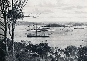 Natural Harbour Prints: View of Sydney Harbour from North Shore, No. 1, c1900. Creator: Unknown