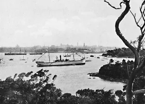 Natural Harbour Prints: View of Sydney Harbour from North Shore, No. 2, c1900. Creator: Unknown