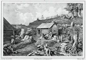 Deforestation Prints: View taken in the Russian colony of Novo-Arkhangelsk (Sitkha island) (northwes)