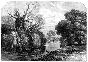 H Rc Prints: View in Tichborne Park, Alresford, Hants, 1871. Creator: Unknown
