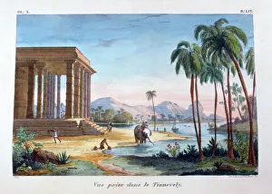 Palm Tree Prints: A View of Tinnevelly, India, 1828. Artist: Marlet et Cie