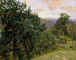 Gerhard Morgenstjerne Munthe Prints: View from Vaga, 1905-1906. Creator: Gerhard Munthe