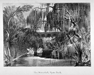 Weeping Willow Prints: View of a waterfall and two swans in Hyde Park, London, c1820