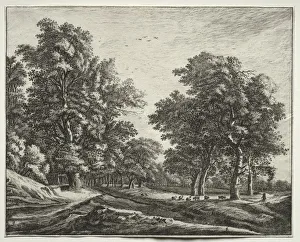 Roelant Roghman Prints: Six view in the wood of the Hague: Goats Under the Trees. Creator: Roelant Roghman (Dutch