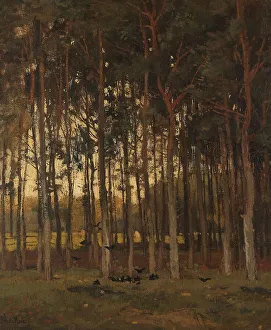 View in the Woods, c.1870-c.1904. Creator: Théophile de Bock