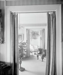 Palm Prints: Views through portieres, roses and palm, between 1900 and 1915. Creator: Unknown