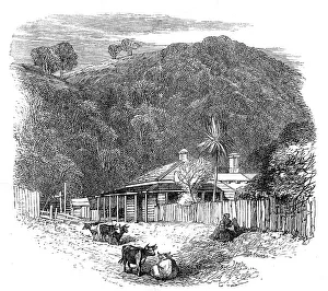 Settlers Prints: Views at the Seat of the War in New Zealand: settler's house at Waikato