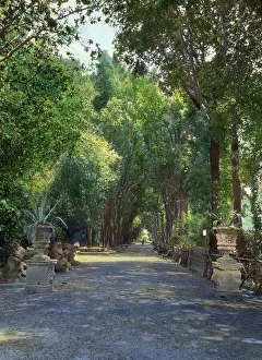 Flaminio Ponzio Prints: Villa Borghese, Rome, Lazio, Italy, 1925. Creator: Frances Benjamin Johnston