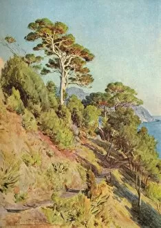 Hutchinson Gallery: In the Villa Piuma, Sestri Levante, c1910, (1912). Artist: Walter Frederick Roofe Tyndale