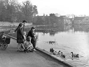 Pram Collection: Village duck pond scene, Tickhill, Doncaster, South Yorkshire, 1961
