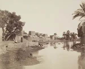 Arecaceae Prints: Village on the Nile, 19th century. Creator: Anon