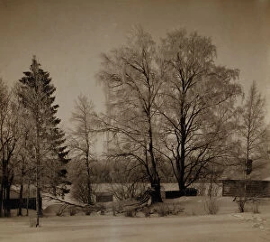 Sankt Peterburg Collection: Village of Turovo, Luzhskii district, Saint Petersburg province, between 1905 and 1915