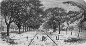 Asante Gallery: Village on the West Coast of Africa, c1880