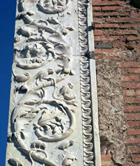 Detail of vine-scrolls on the building of Eumachia, Pompeii, 1st century