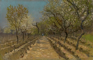 Vineyard, around 1890 - 1895. Creator: Ladislav Mednyanszky