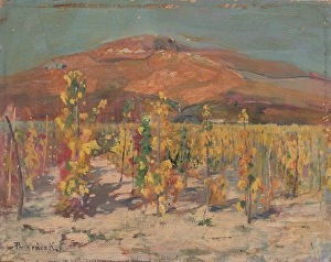 Vineyard Prints: Vineyards at the foot of Mount Zobor, 1930-1940. Creator: Karol Pongracz