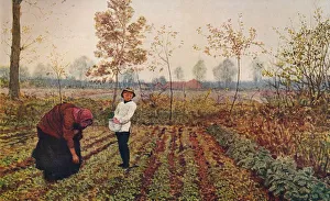 Social Realism Gallery: The Violet Field, 1867, (c1915). Artist: Fred Walker