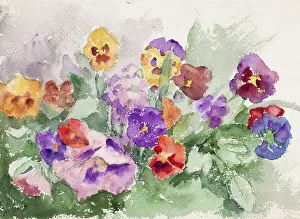 Sweet Violet Prints: Violets. Creator: Maria Wiik