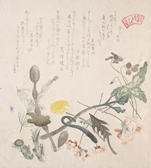 Sweet Violet Prints: Violets, Primroses and Other Spring Flowers, 19th century. Creator: Kubo Shunman