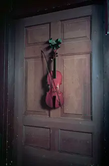 Doors Prints: Violin on a door painted by Jan van der Vaart