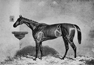 Virago, 1851-1869, (1911)