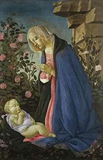Tulips Prints: The Virgin Adoring the Sleeping Christ Child