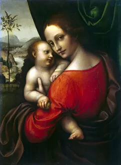 Images Dated 9th March 2011: Virgin and Child, 1520s