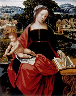 Images Dated 29th September 2005: Virgin and Child, 16th century
