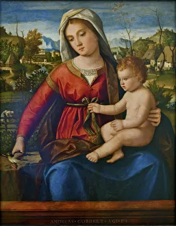 Andrea Ca 1480 1528 Prints: Virgin and Child. Artist: Previtali, Andrea (ca 1480-1528)