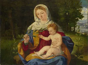 Andrea Ca 1480 1528 Prints: The Virgin and Child with a Shoot of Olive