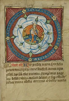 Illumination Painting Prints: The Virgin and Child in a White Rose; Illustrated Vita Christi