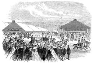 Agricultural Society Prints: Visit of the Prince and Princess of Wales to Plymouth:Showyard