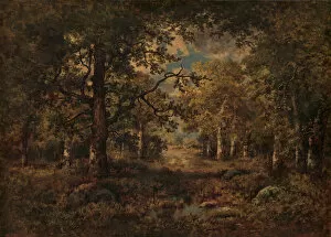 De La Pena Gallery: A Vista through Trees: Fontainebleau, 1873. Creator: Narcisse Virgile Diaz de la Pena