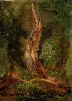 Jozef Prints: Volhynian Forest, c1864. Creator: Jozef Szermentowski