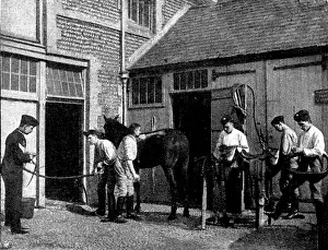 Mock Battle Prints: The Volunteer Manoeuvres at Brighton: Transport stable work at 5