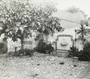 Vroman's book store, 60 East Colorado Street, Pasadena, California, 1923. Creator: Frances Benjamin Johnston