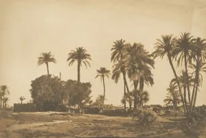 Palm Trees Prints: Vue du Village de Hamarneh, pres de Denderah (Rive droite), 1849-50