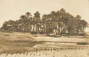 Aswan As Said Egypt Gallery: Vue de l ile d Elephantine, en face d Assouan, 1849-50. Creator: Maxime du Camp