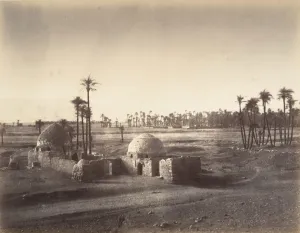 Palm Trees Prints: Vue de la Plaine de Thebes prise du temple de Karnac, 1867. Creator: Gustave Le Gray