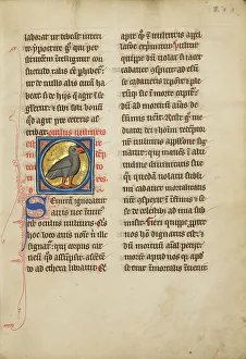 Bestiary Prints: A Vulture; De Natura Avium; De Pastoribus et Ovibus; Bestiarium