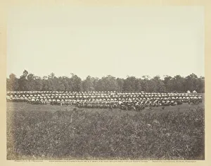 Tim Osullivan Prints: Wagon Park, Brandy Station, Virginia, May 1863. Creator: Alexander Gardner