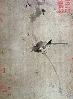 Wagtail Prints: Wagtail, between 1200 and 1300. Creator: Unknown
