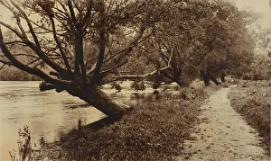 By the Waikato, 1916. Creator: ECI